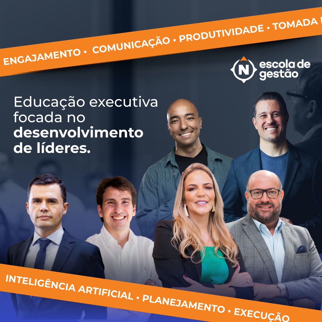 Consultores N Escola de Gestão